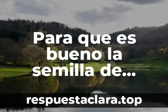 Para que es bueno la semilla de mostaza