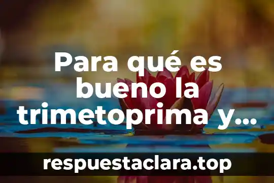 Qué es bueno para las flemas en los bebés 5 Para qué es bueno la trimetoprima y sulfametoxazol