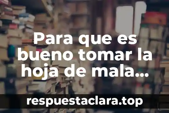 Para que es bueno tomar la hoja de mala madre