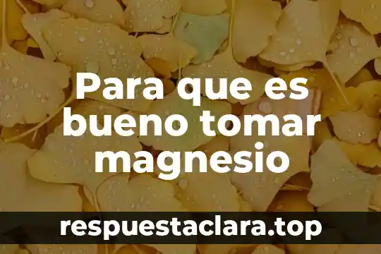 Para que es bueno tomar magnesio