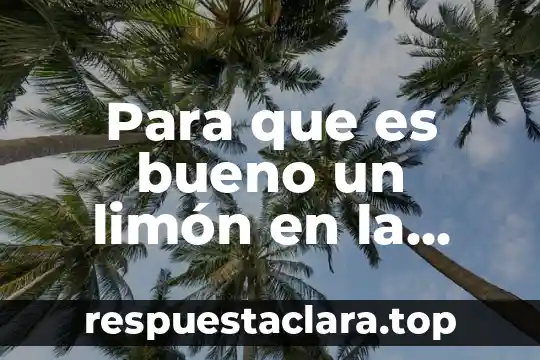 Que es significa sistema operativo 8 Para que es bueno un limón en la bolsa
