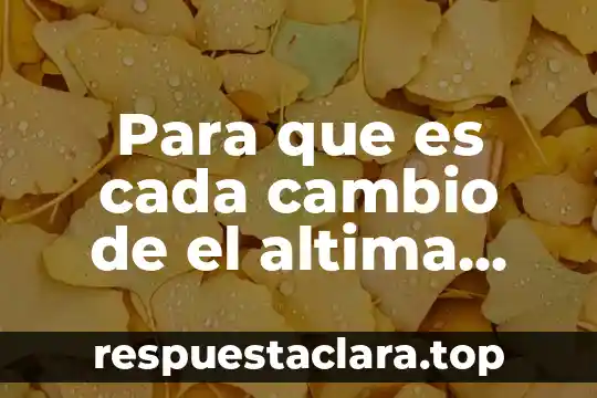 Que es un factor de cambio economico 3 Para que es cada cambio de el altima 2002