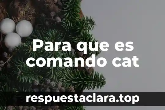 Para que es comando cat