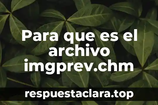 Que es cambiar el nombre a un carpeta a archivo 3 Para que es el archivo imgprev.chm