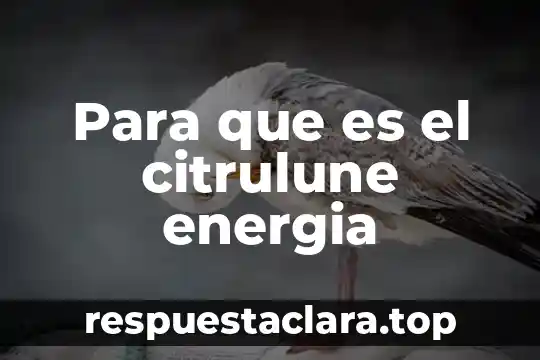 Para que es el citrulune energia