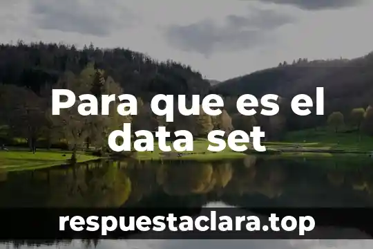 Para que es el data set