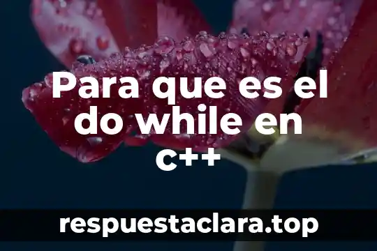 Para que es el do while en c++