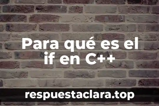 Para qué es el if en C++