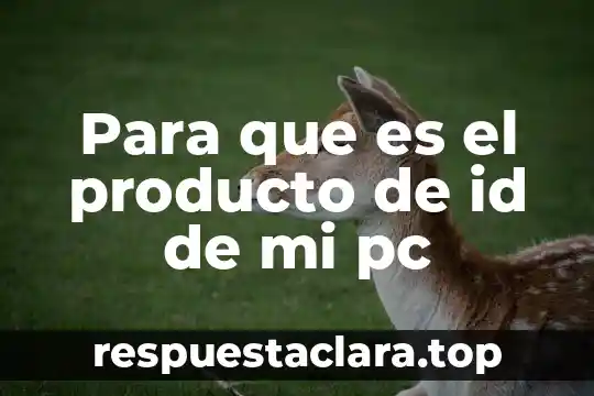 Para que es el producto de id de mi pc