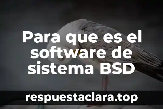 Para que es el software de sistema BSD