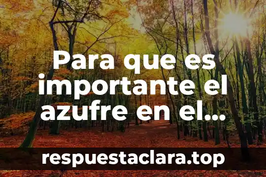 Para que es importante el azufre en el cuerpo humano