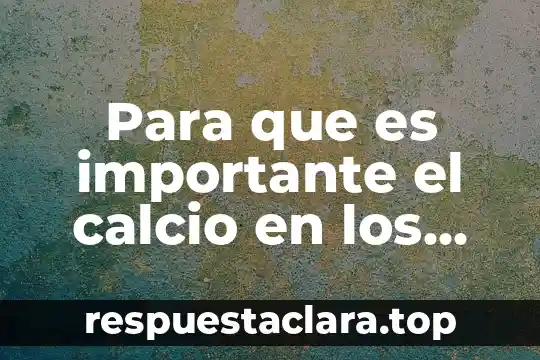 Para que es importante el calcio en los humanos