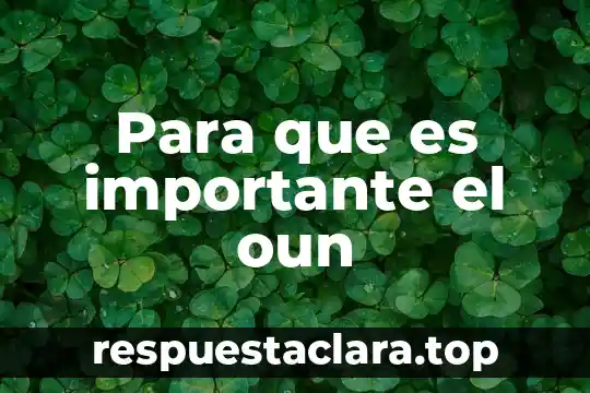 Qué significa y por qué es importante 4 Para que es importante el oun