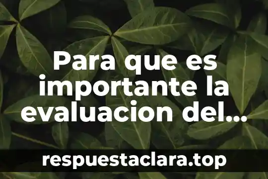 Para que es importante la evaluacion del impacto ambiental