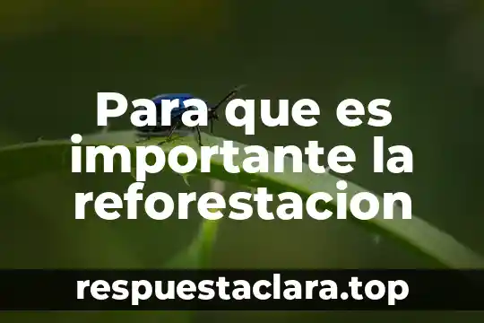 Para que es importante la reforestacion