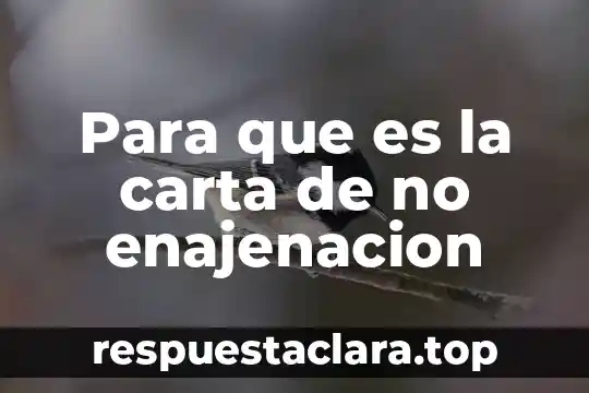 Para que es la carta de no enajenacion