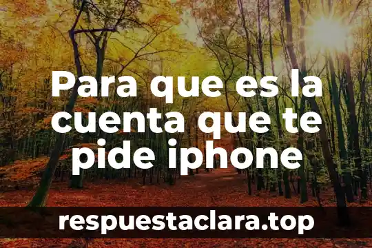 Persona que es fan del te nombre 8 Para que es la cuenta que te pide iphone