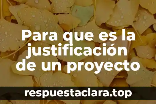 Que es el marco fisico de un proyecto 4 Para que es la justificación de un proyecto