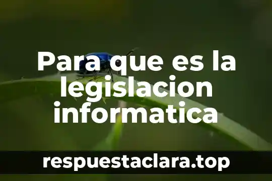 Para que es la legislacion informatica
