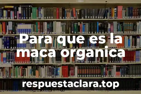 Charola organica que es 6 Para que es la maca organica