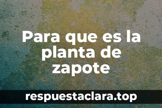 Para que es la planta de zapote