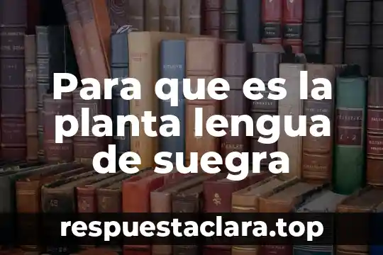Qué es una planta industrial 3 Para que es la planta lengua de suegra