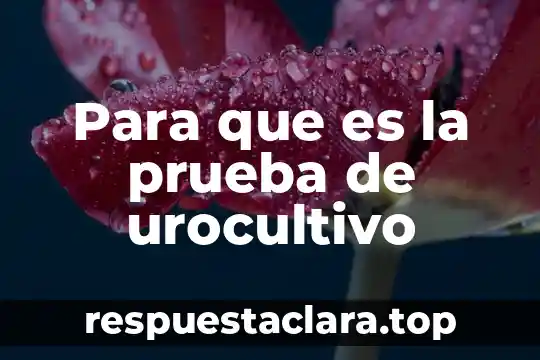 Para que es la prueba de urocultivo