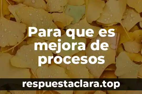 Para que es mejora de procesos