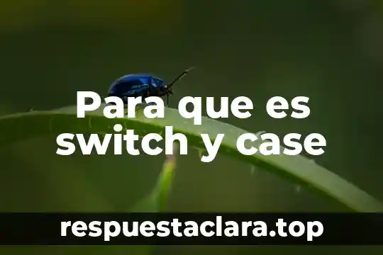 Para que es switch y case