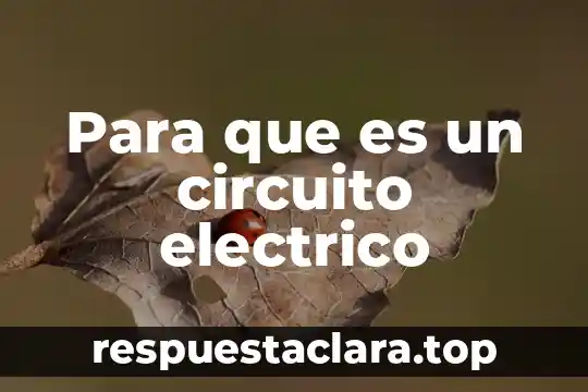 Qué es una señal de reloj en un circuito digital 7 Para que es un circuito electrico