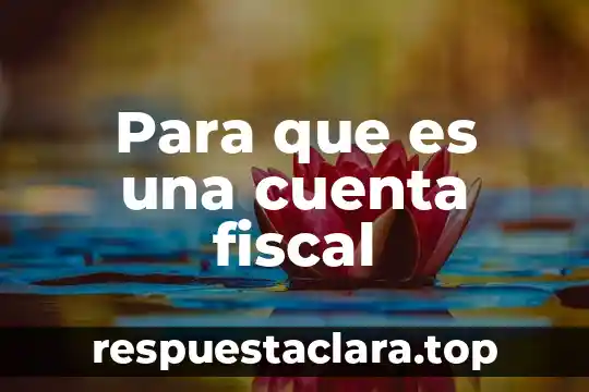 Qué es el número de identificación fiscal en República Dominicana 4 Para que es una cuenta fiscal