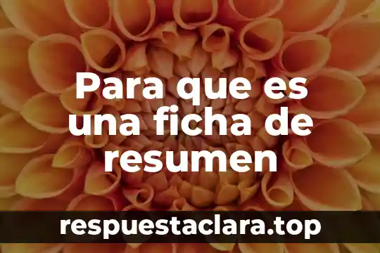 Para que es una ficha de resumen