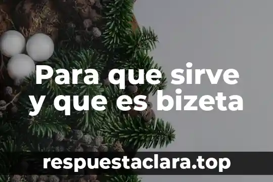 Para que sirve y que es bizeta