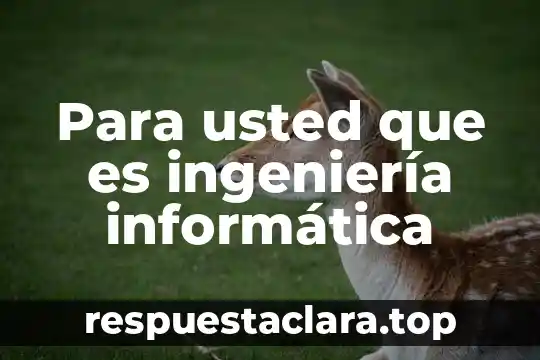 Para usted que es ingeniería informática
