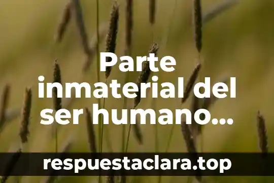 Parte inmaterial del ser humano que es capaz de entender