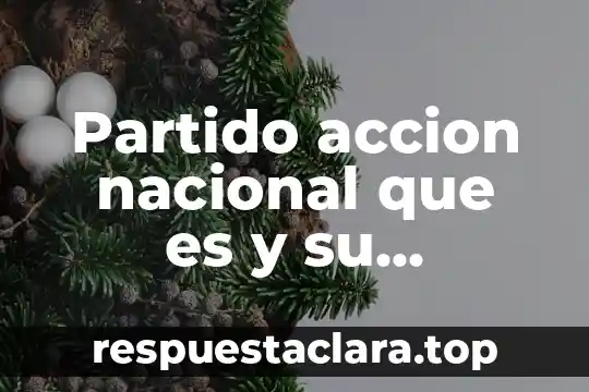 Partido accion nacional que es y su proposito