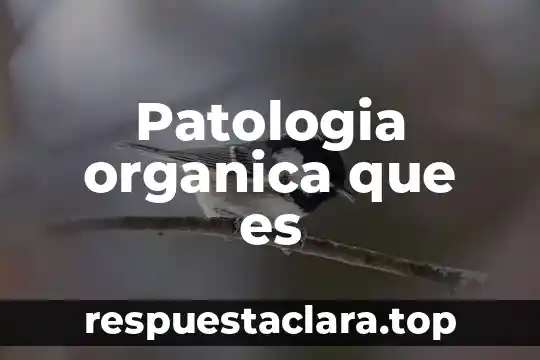 Patologia organica que es