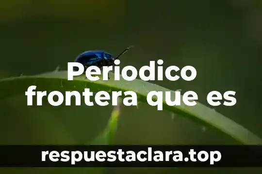 Periodico frontera que es