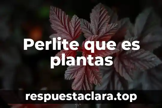Qué es signo en plantas 3 Perlite que es plantas