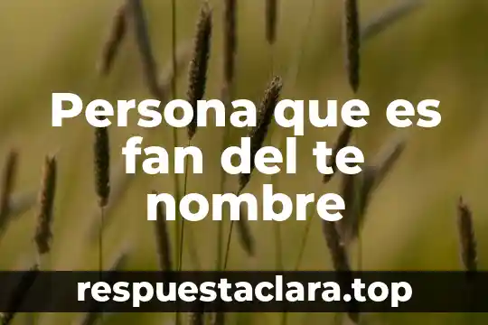Que es cuando te piden portafolio en vacantes de trabajo 3 Persona que es fan del te nombre