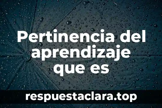Pertinencia del aprendizaje que es