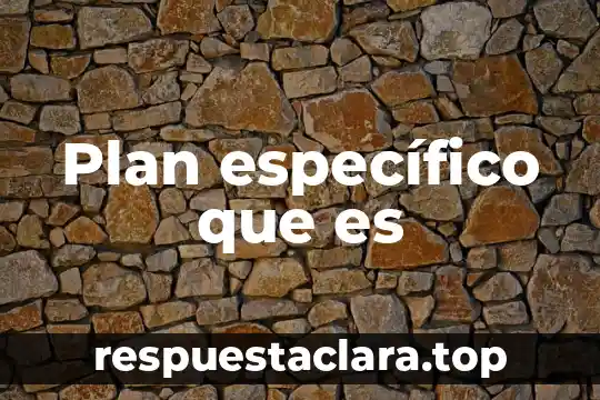 Plan específico que es