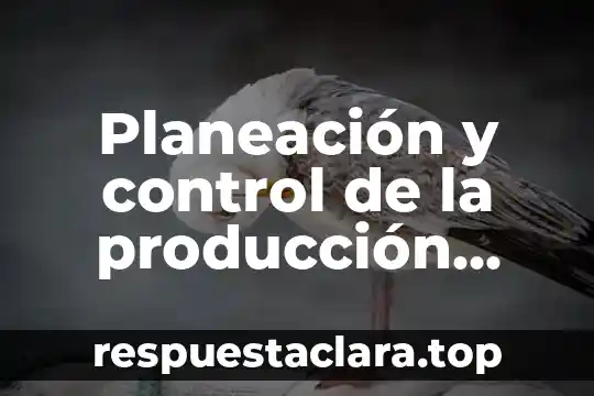 Planeación y control de la producción que es