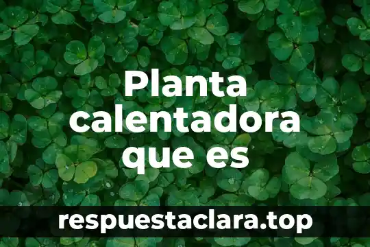 Planta calentadora que es