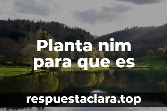 Qué es una planta industrial 5 Planta nim para que es