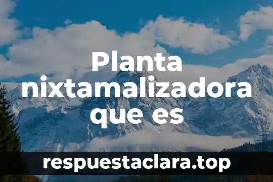 Que es ingeniera de planta 8 Planta nixtamalizadora que es