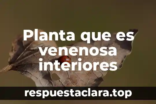 Planta que es venenosa interiores