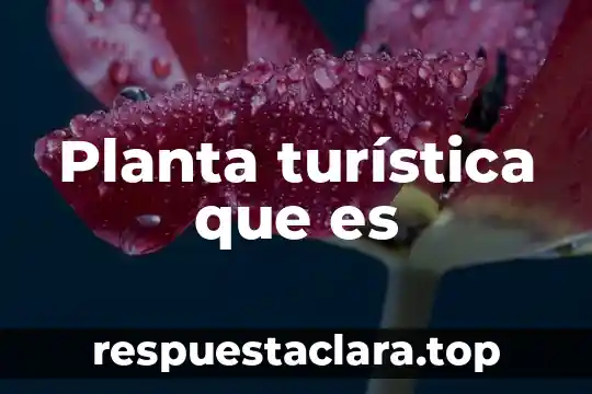 Planta nixtamalizadora que es 5 Planta turística que es