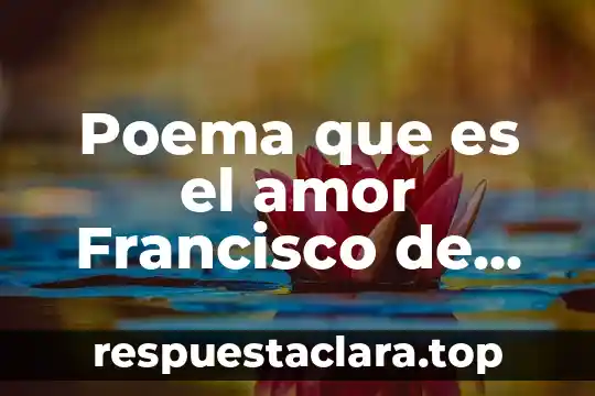Qué es srcn significado 5 Poema que es el amor Francisco de Quevedo