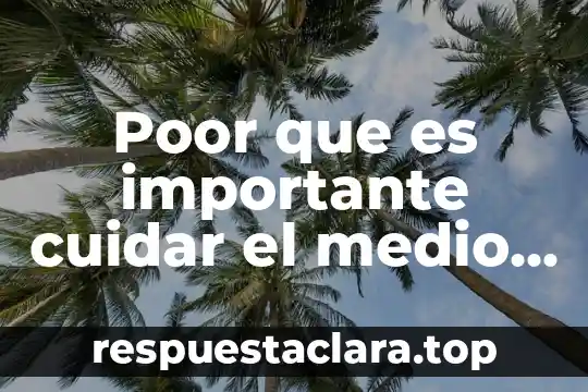 Trece razones por la que es importante la historia 8 Poor que es importante cuidar el medio ambiente
